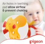 Pigeon, Training Teethers Step 1 ( 4+M ) - Image 6