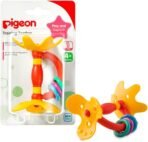 Pigeon, Training Teethers Step 1 ( 4+M )