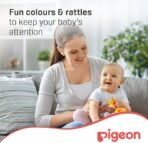 Pigeon, Training Teethers Step 1 ( 4+M ) - Image 7
