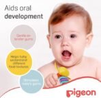 Pigeon, Training Teethers Step 1 ( 4+M ) - Image 5
