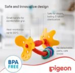 Pigeon, Training Teethers Step 1 ( 4+M ) - Image 3