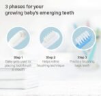 Pigeon, Baby Training Toothbrush Set - Image 4
