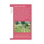 Traditional Medicinals,  Organic Pregnancy Tea Raspberry Leaf Herbal Tea, Supports Healthy Pregnancy, (Pack of 1) - 16 Tea Bags - Image 5